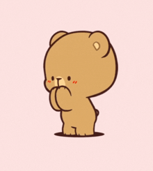 Cute bear